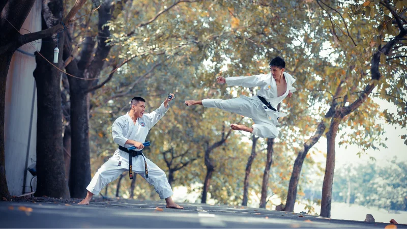 list of martial arts styles
